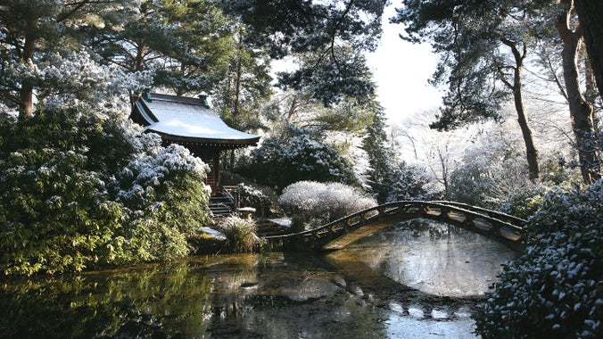 A snowy scene of the Shinto Shrine at Tatton Park. An arched footbridge covered in snow spans the icy water.